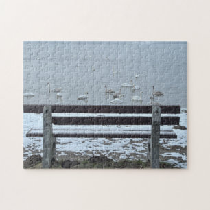 Swans, lake and a bench - puzzle