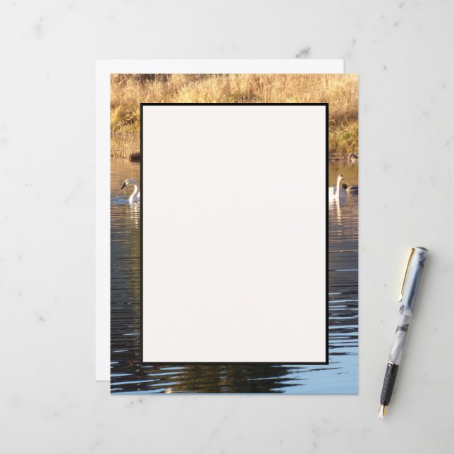 Swans n Ducks Stationery Sheet (Front/Back In Situ)