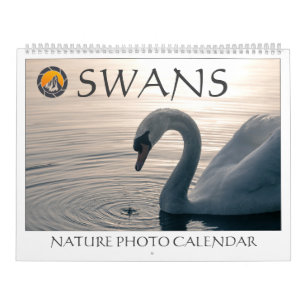Swans Nature Photos 2026 Calendar