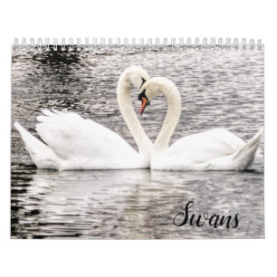 Swans of Spring Grove Calendar