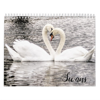 Swans of Spring Grove  Calendar
