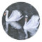 Swans of Versailles