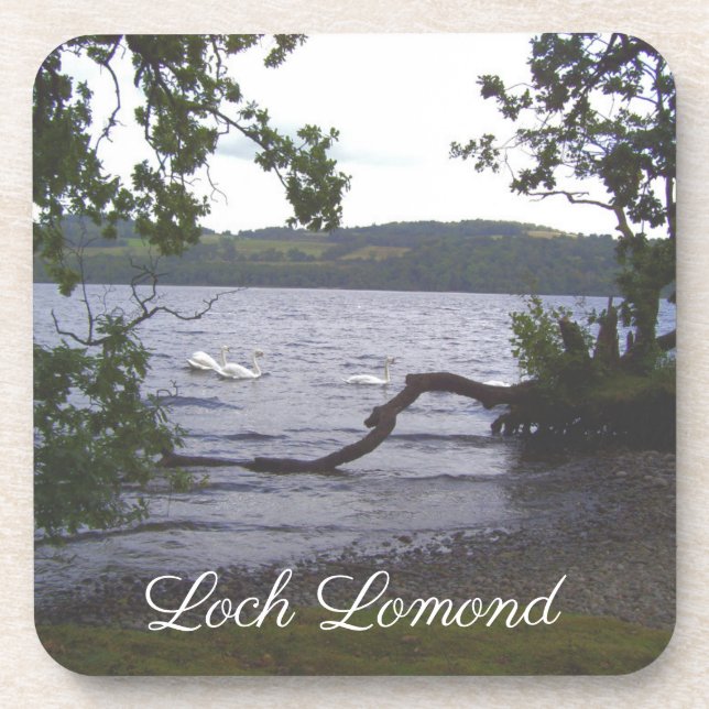 Swans on Loch Lomond Coaster (Front)