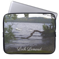 Swans on Loch Lomond