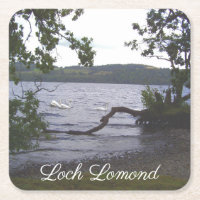 Swans on Loch Lomond