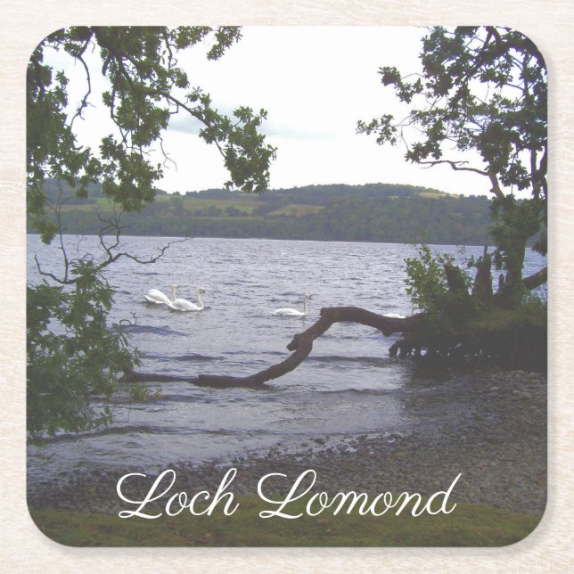 Swans on Loch Lomond Square Paper Coaster (Front)