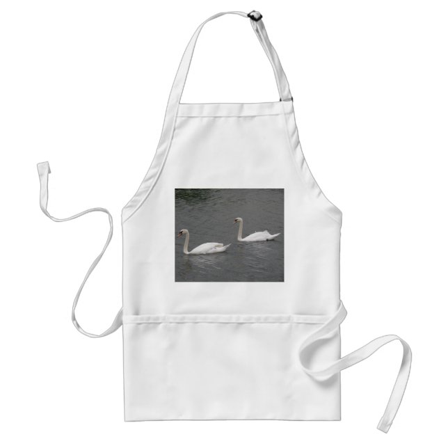 Swans on the River Apron (Front)