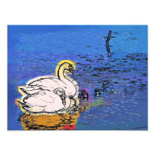 SWANS PHOTO PRINT