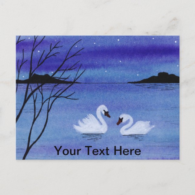 Swans Postcard (Front)