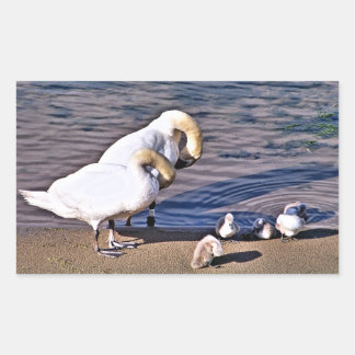 SWANS RECTANGULAR STICKER