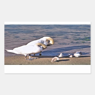 SWANS RECTANGULAR STICKER