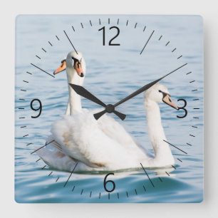 swans square wall clock
