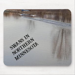 Swans Taking Off in Flight Mouse Pad
