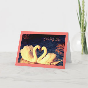 Swans Valentine's Day Card