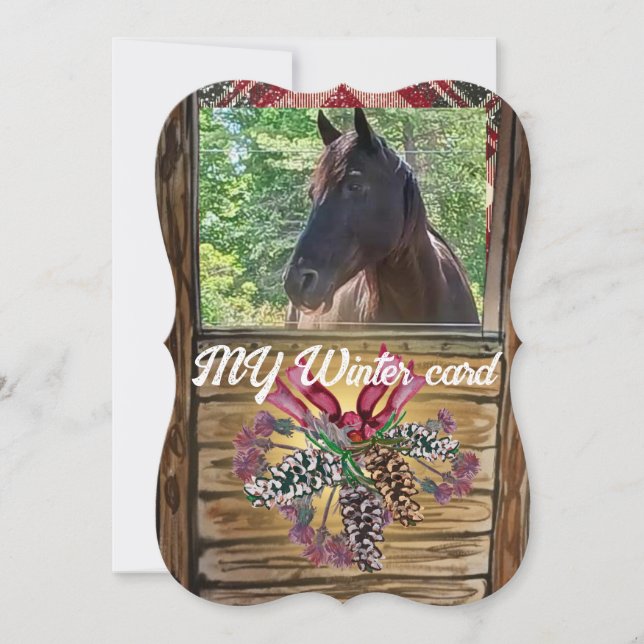 swap out picture cute stall horse holiday card (Front)