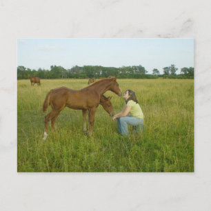 Swapping Spirits Post Card