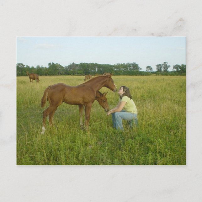 Swapping Spirits Post Card (Front)