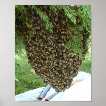 SWARM OF BEES POSTER. Bee freaked out or amazed!