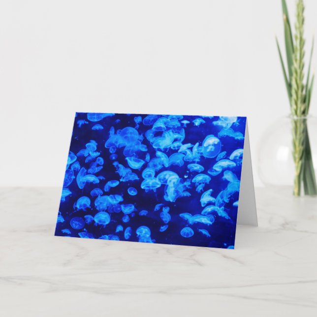Swarm of Jellyfish Card (Front)