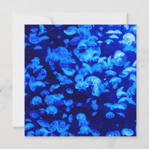 Swarm of Jellyfish Card