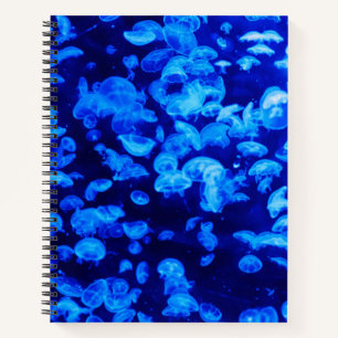 Swarm of Jellyfish Notebook