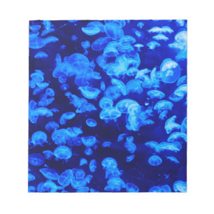 Swarm of Jellyfish Notepad