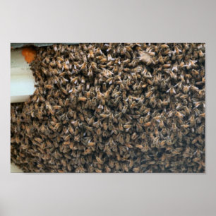 Swarm Poster