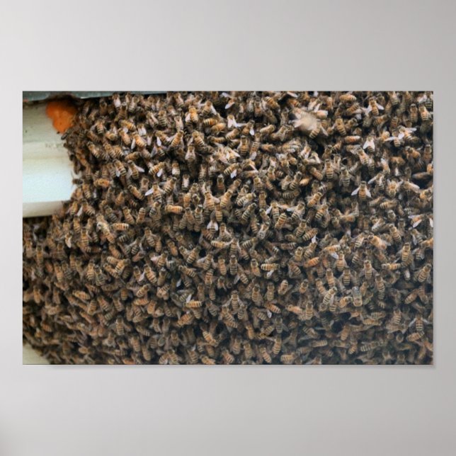 Swarm Poster (Front)