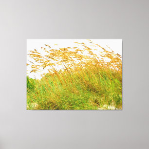 Swaying Grasses in the Breeze Canvas Print