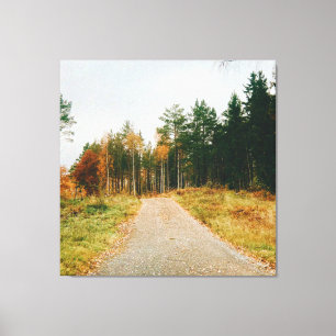 Swedish Autumnal Forest Canvas Print