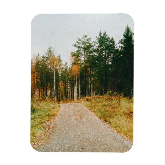 Swedish Autumnal Forest Magnet (Vertical)