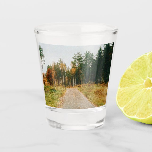 Swedish Autumnal Forest Shot Glass (Front)