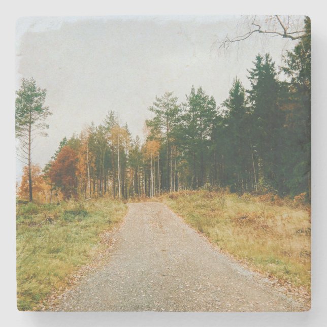 Swedish Autumnal Forest Stone Coaster (Front)