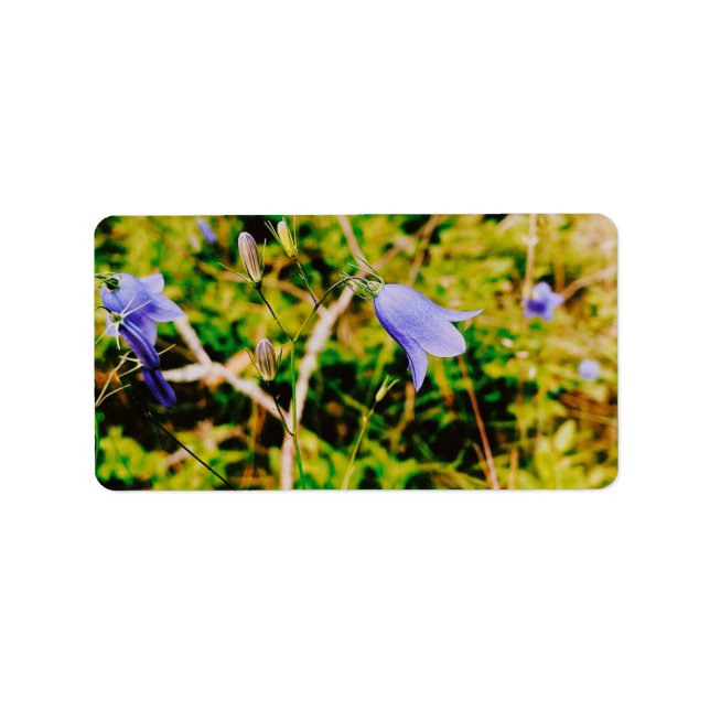 Swedish Bluebell  Label (Front)