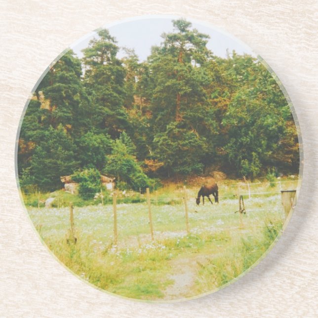 Swedish Countryside Coaster (Front)