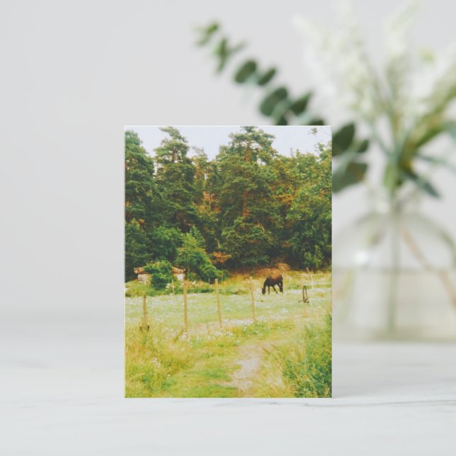 Swedish Countryside Postcard (Standing Front)
