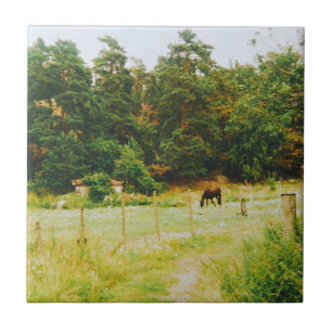 Swedish Countryside Tile