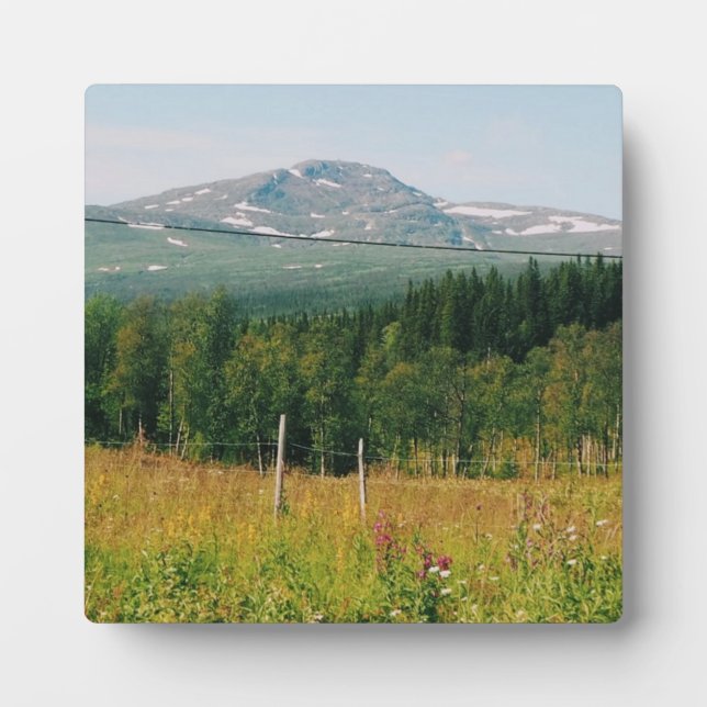 Swedish Mountain Landscape  Plaque (Front)