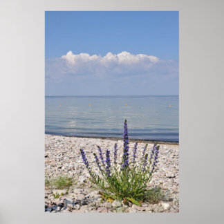 Swedish Summer Print