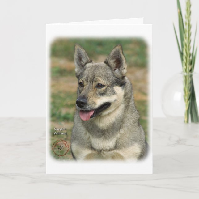 Swedish Vallhund Card (Front)