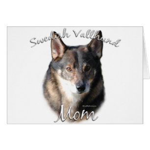 Swedish Vallhund Mum 2