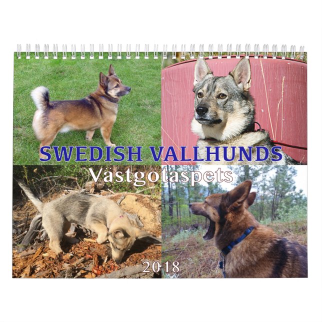 Swedish Vallhund, Vastgotaspets, Callendar 2018 Calendar (Cover)