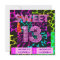 Sweet 13 Birthday Party Mixed Animal Print