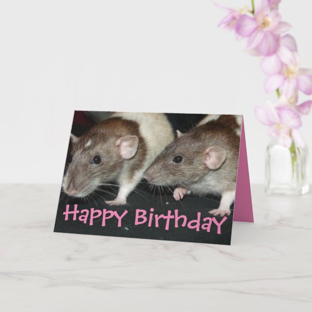 Sweet agouti hooded girl rats birthday card (Orchid)
