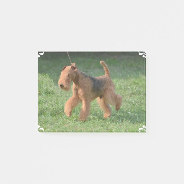 Sweet Airdale Terrier Post-it Notes (Front)