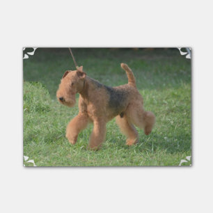 Sweet Airdale Terrier Post-it Notes