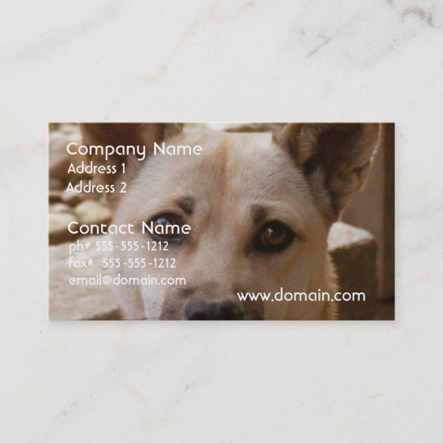 Sweet Akita Business Card (Front)