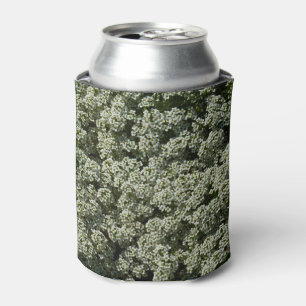 Sweet Alyssum Flowers White Floral Can Cooler