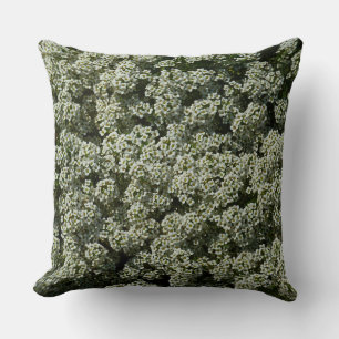 Sweet Alyssum Flowers White Floral Cushion