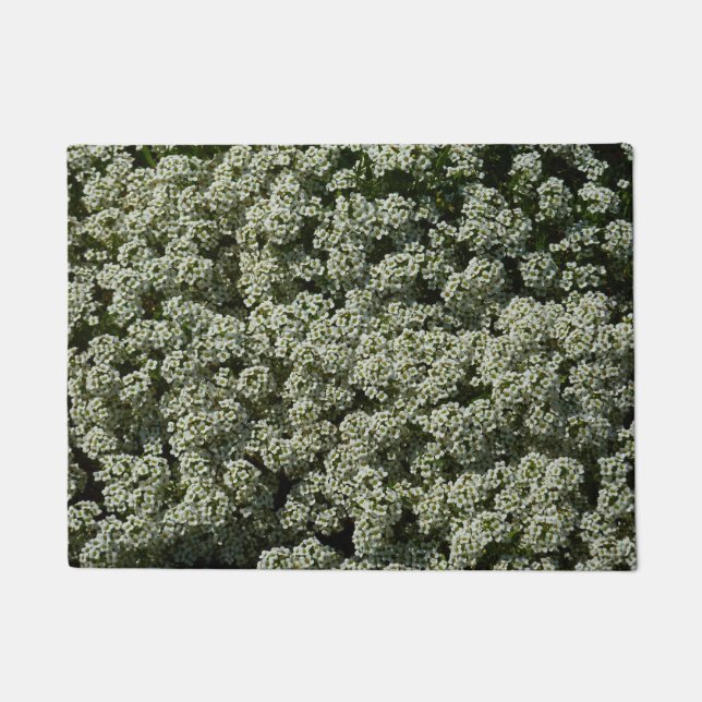 Sweet Alyssum Flowers White Floral Doormat (Front)